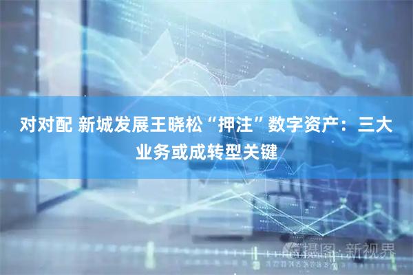 对对配 新城发展王晓松“押注”数字资产：三大业务或成转型关键