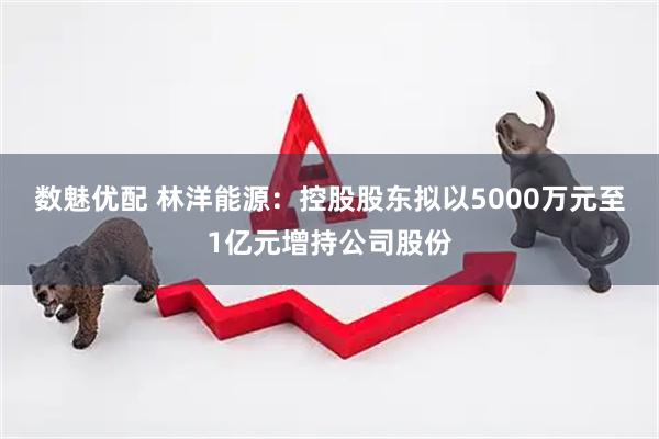 数魅优配 林洋能源：控股股东拟以5000万元至1亿元增持公司股份